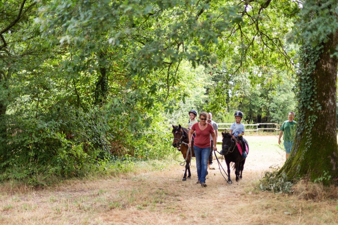 Domaine De L'oiseliere